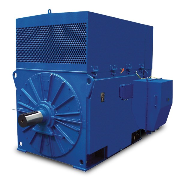 Medium Voltage Motors
